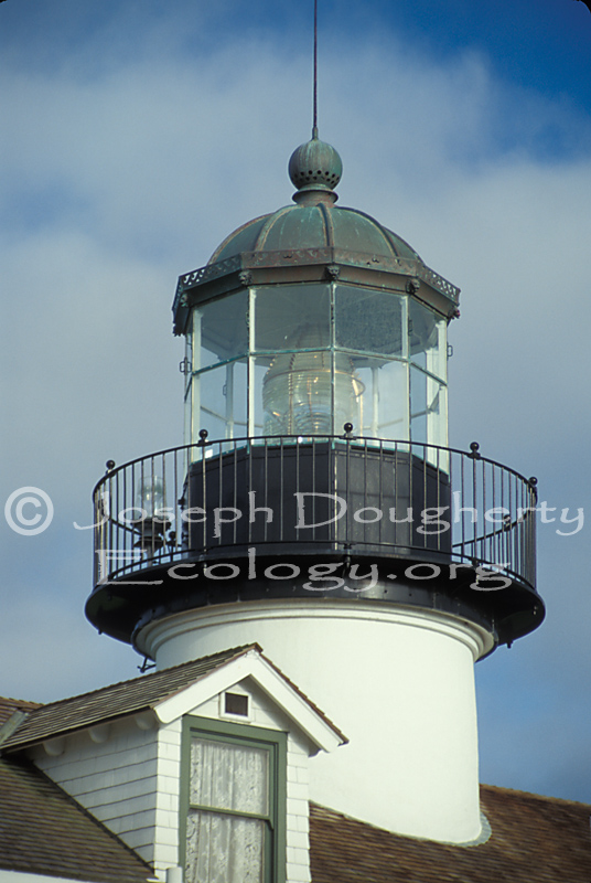 Point Pinos Lighthouse Fresnel lens.