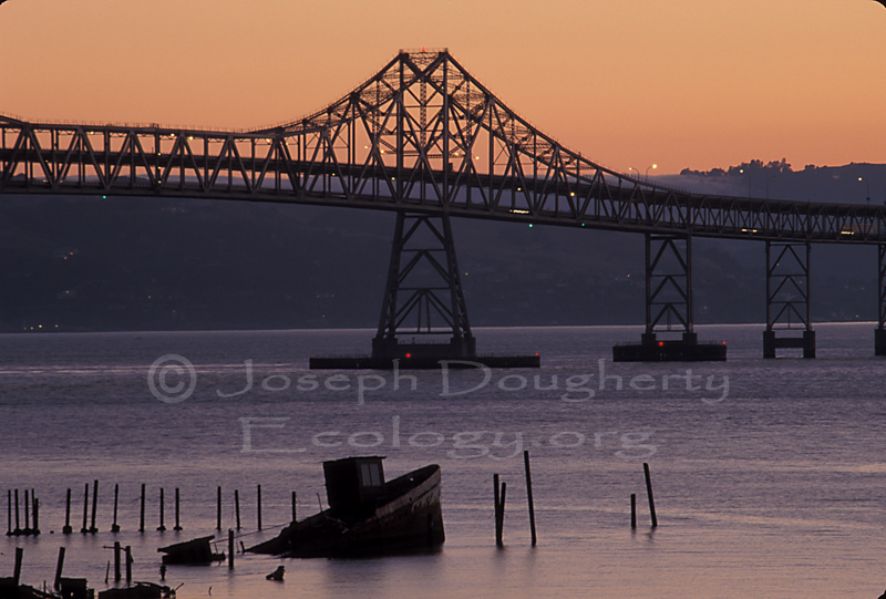 Richmond-San Rafael Bridge at sunset, with old boat wreck.