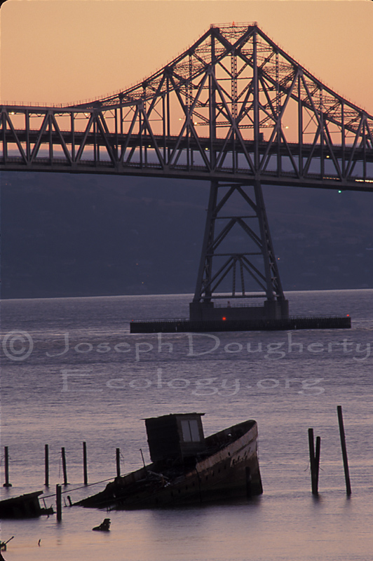 Richmond-San Rafael Bridge at sunset, with old boat wreck.