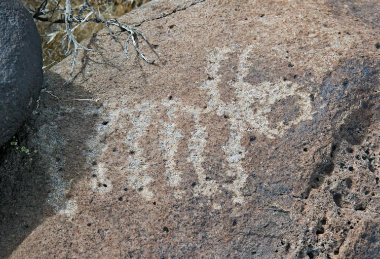 Petroglyph / Sheep Spring Site (California)