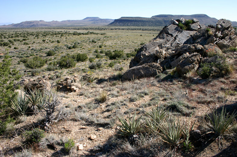 Mojave National Preserve in Mojave Desert