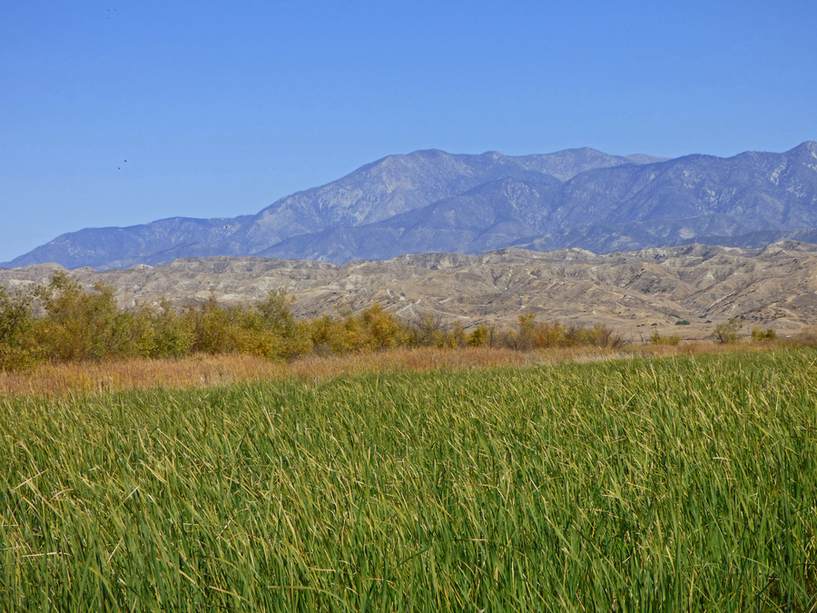 View of San Bernardino Mtns