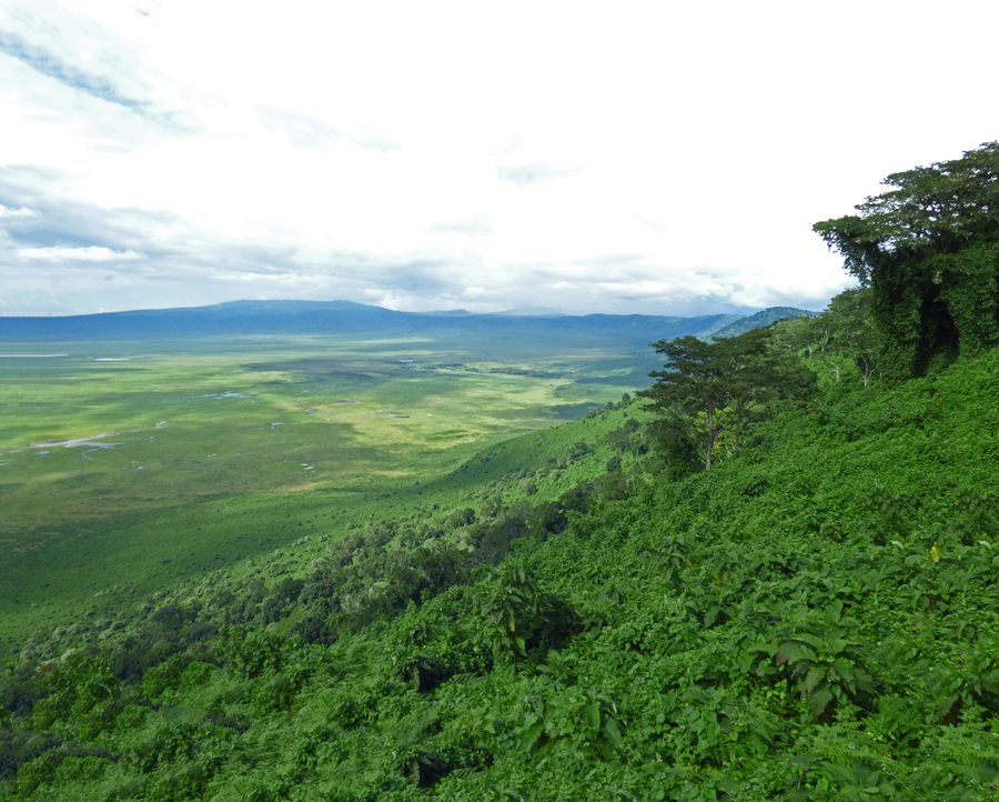 View of Ngorongoro Crater