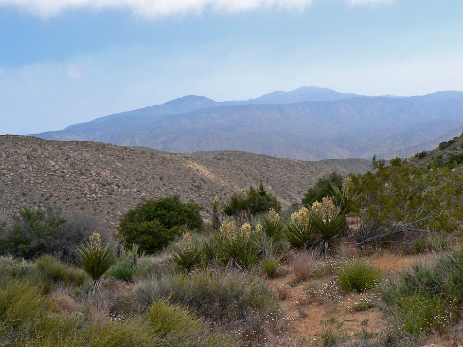 View of Santa Rosa Mountains & Toro Peak