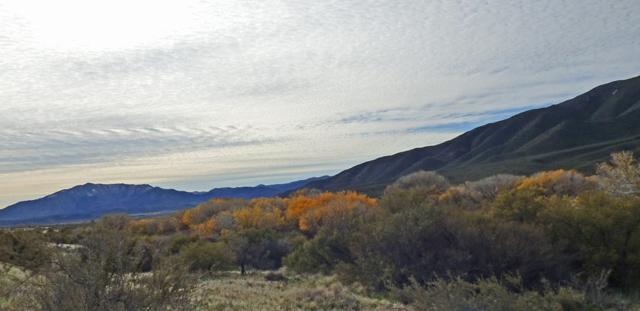 View of San Felipe Valley Wildlife Area & Granite Mtn.
