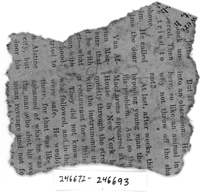 Capromeryx minor