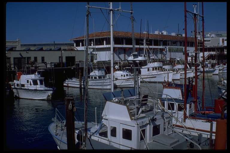 Fishing boats docked at Fisherman's Wharf, San Francisco, CA