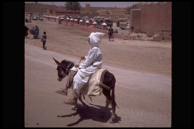 Riding a donkey near a market in Morocco, Africa Riding a donkey near a market in Morocco, Africa