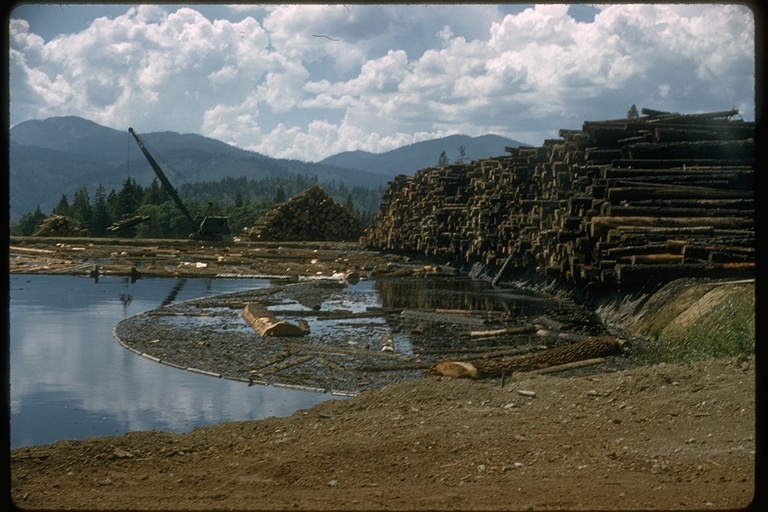 sawmill pond sawmill pond