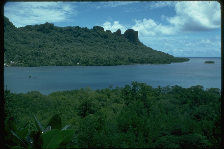 Tropical Pacific Island Tropical Pacific Island