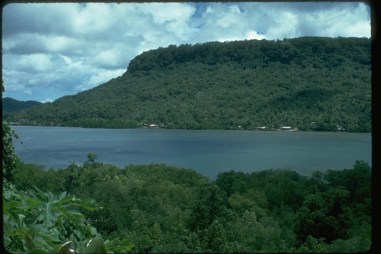 Tropical Pacific Island Tropical Pacific Island