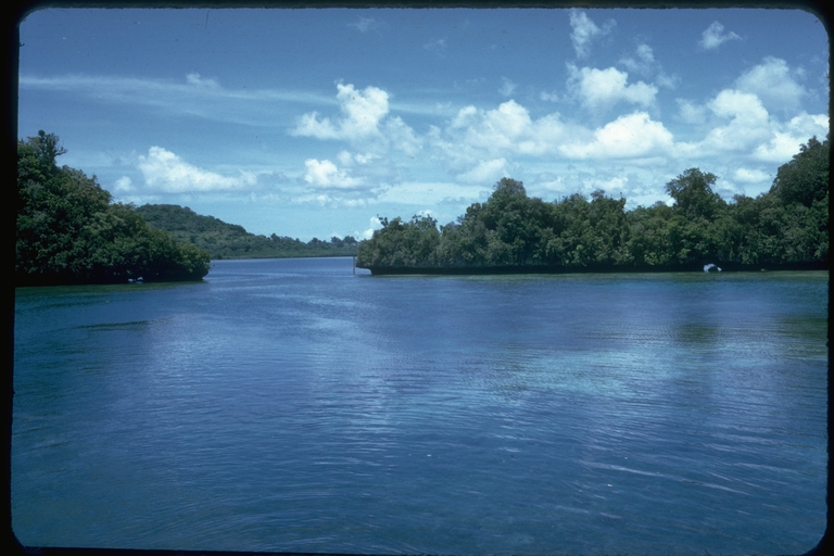 Tropical Pacific Island