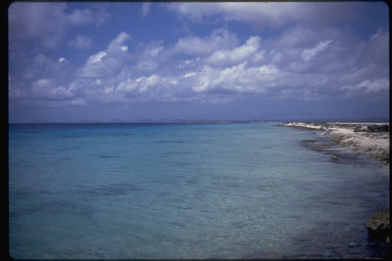 Tropical Pacific Island beach Tropical Pacific Island beach