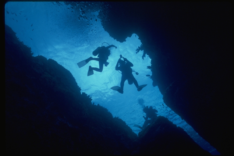 Scuba divers in a coral reef habitat Scuba divers in a coral reef habitat