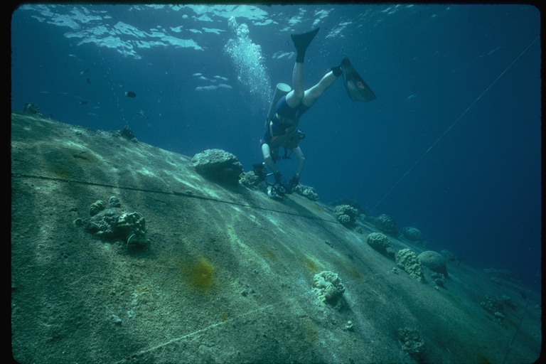 Scuba diver next to man-made coral reef reconstruction Scuba diver next to man-made coral reef reconstruction