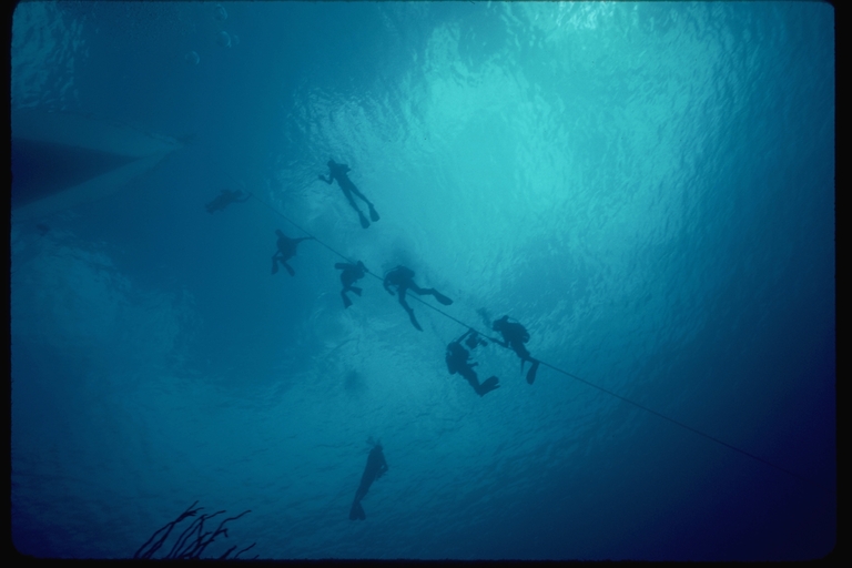 Scuba divers along the anchor line Scuba divers along the anchor line