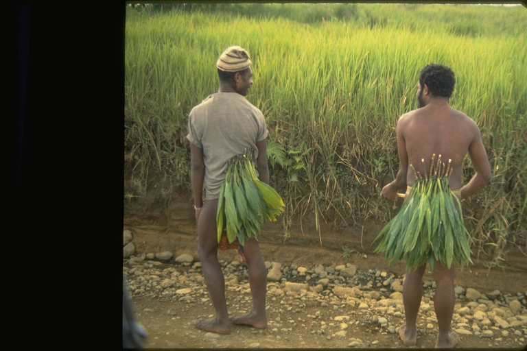 Papua New Guinea men wearing traditional clothing Papua New Guinea men wearing traditional clothing