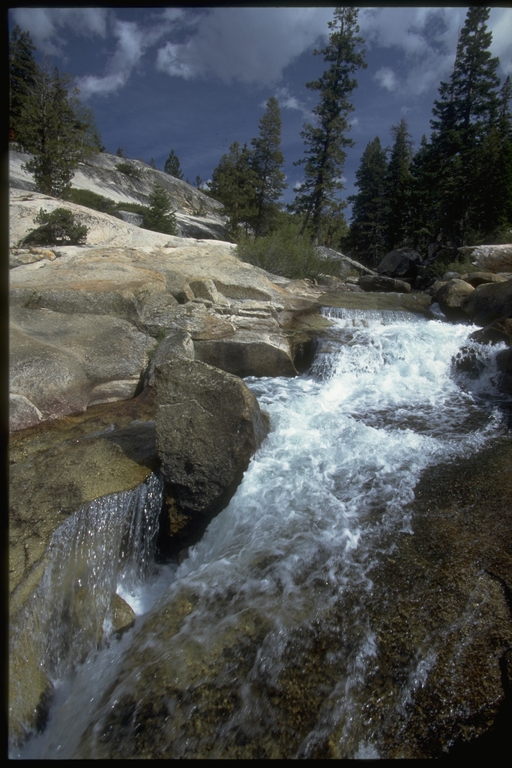 Fish Creek, John Muir Wilderness Area, Sierra Nevada Mountains, CA