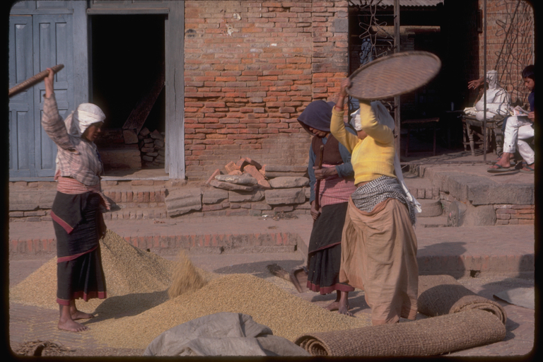 Women winnowing grain in Patan, Nepal