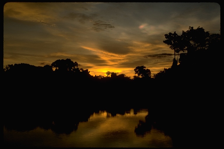 View of the Amazon River at Sunset