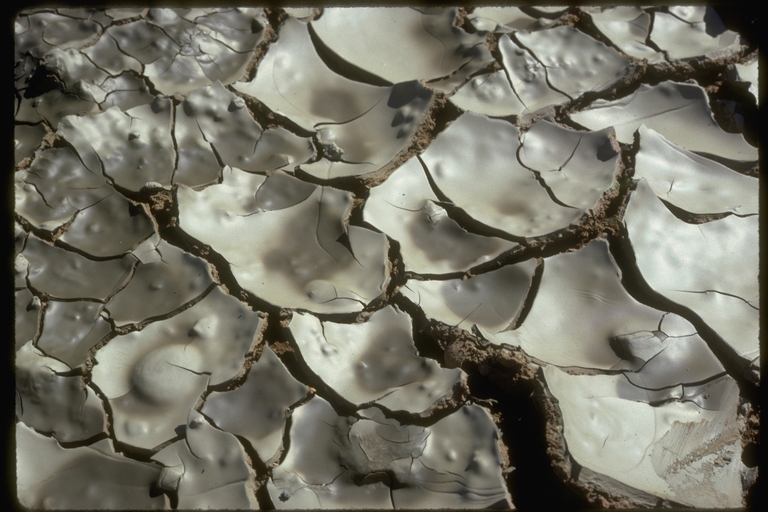 Dried mud pattern, Healdsburg, Sonoma County, CA Dried mud pattern, Healdsburg, Sonoma County, CA