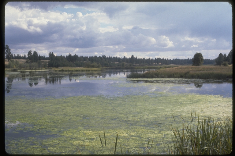 Turnbull N.W.R., WA Turnbull N.W.R., WA