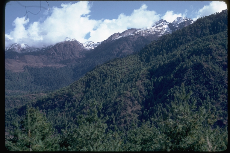 Upper Paro Valley, Bhutan