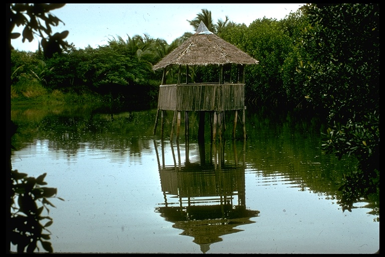 House on stilts in a lake, Philippine Islands House on stilts in a lake, Philippine Islands