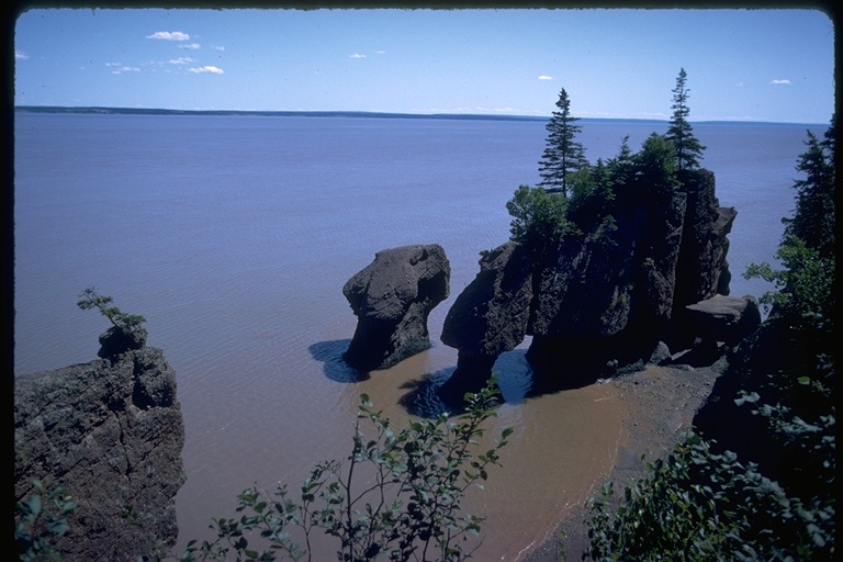 View of Hopewell Rocks from the cliffs