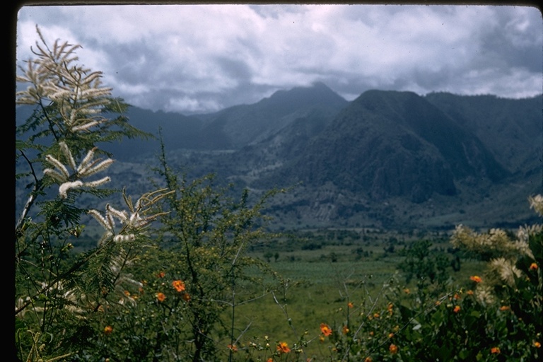 View of canyon with wildflowers in the foreground