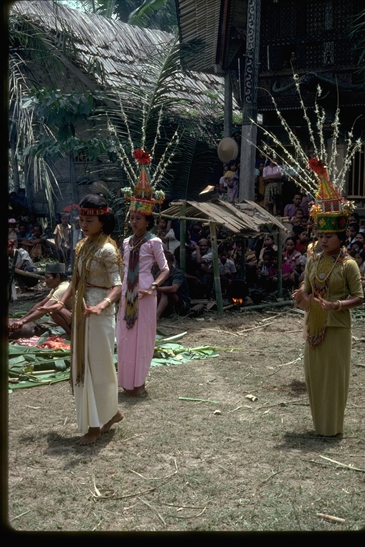 Indigenous people: village in Sulawesi, Indonesia Indigenous people: village in Sulawesi, Indonesia