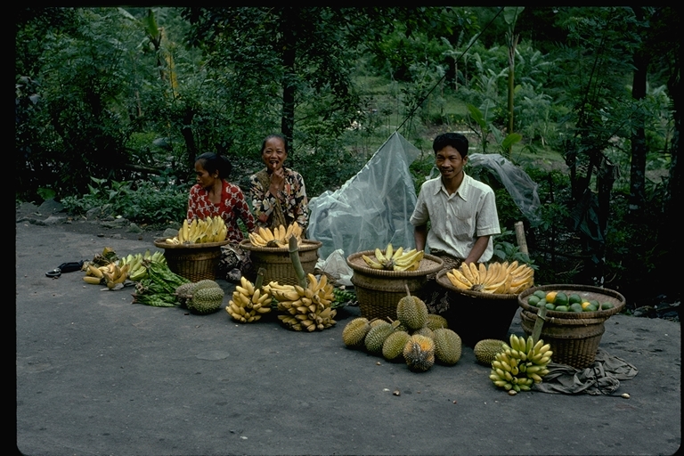 Fruit vendors in Java, Indonesia Fruit vendors in Java, Indonesia
