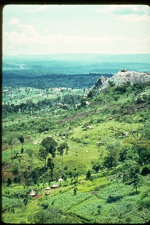 View of the Kakamega Forest in Kenya