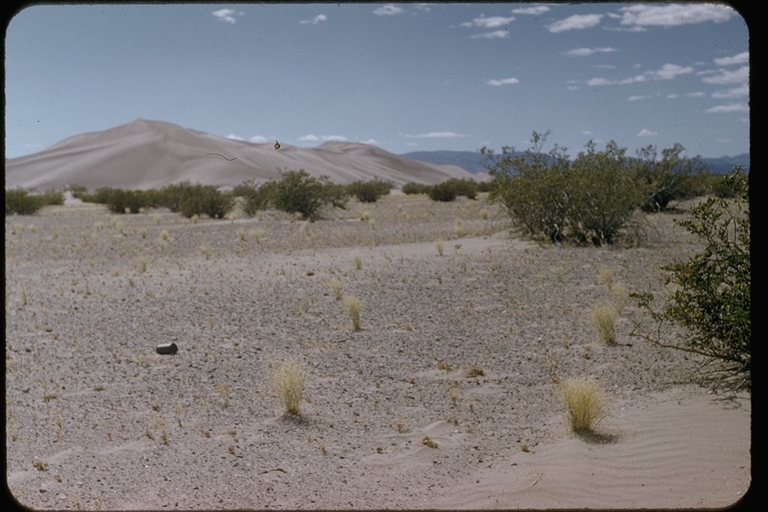 Desert vista Desert vista