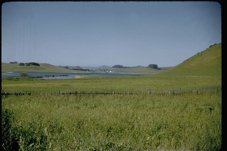 View of Walker Creek Lagoon, Marin County, California View of Walker Creek Lagoon, Marin County, California