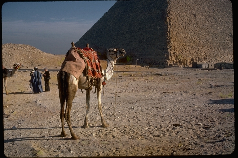 Egypt Egypt