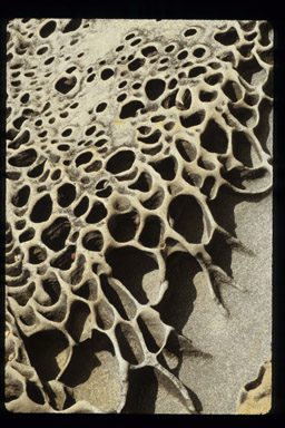 Tufoni Sandstone Formation