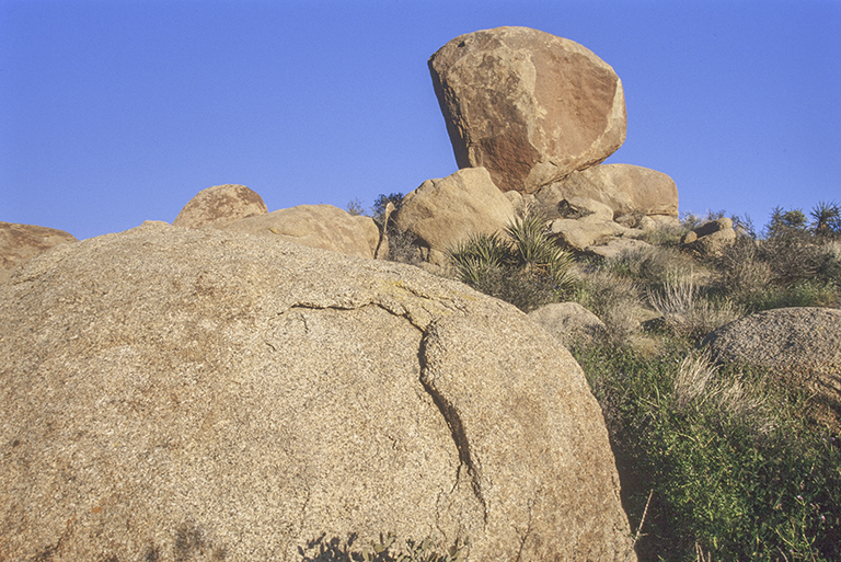 Monzogranite rock showing weathering and cracks