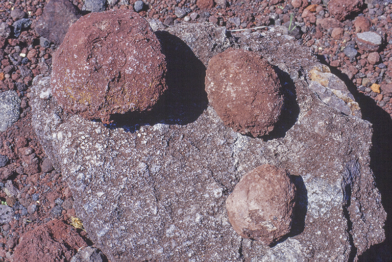 Volcanic bombs from Big Bomb Crater, Diamond Craters National Monument