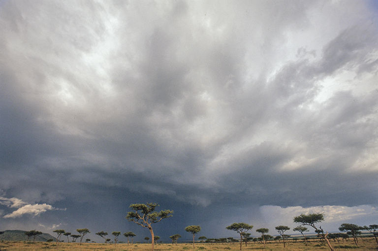 Nimbostratus praecipitatio clouds with rain onto the plains of the Masai Mara National Reserve, Kenya