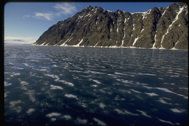 Grease ice near Lilliehookbreen Glacier, Svalbard