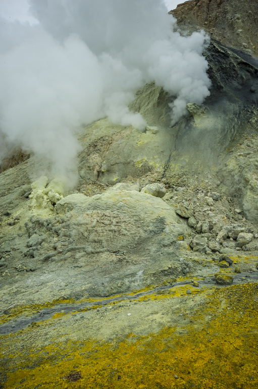 Volcanic Activity on White Island, New Zealand