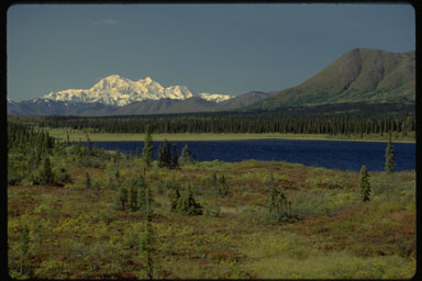 A view of Mount McKinley in Denali National Park, Alaska