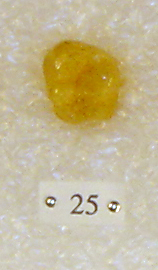 Sivapithecus