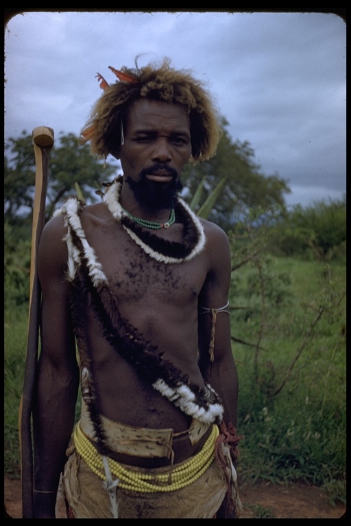 Swazi warrior, Swaziland, Africa