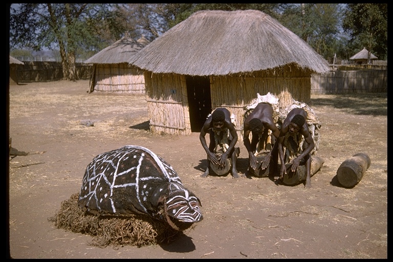 Turtle effigy and drummers in African village, Africa Turtle effigy and drummers in African village, Africa