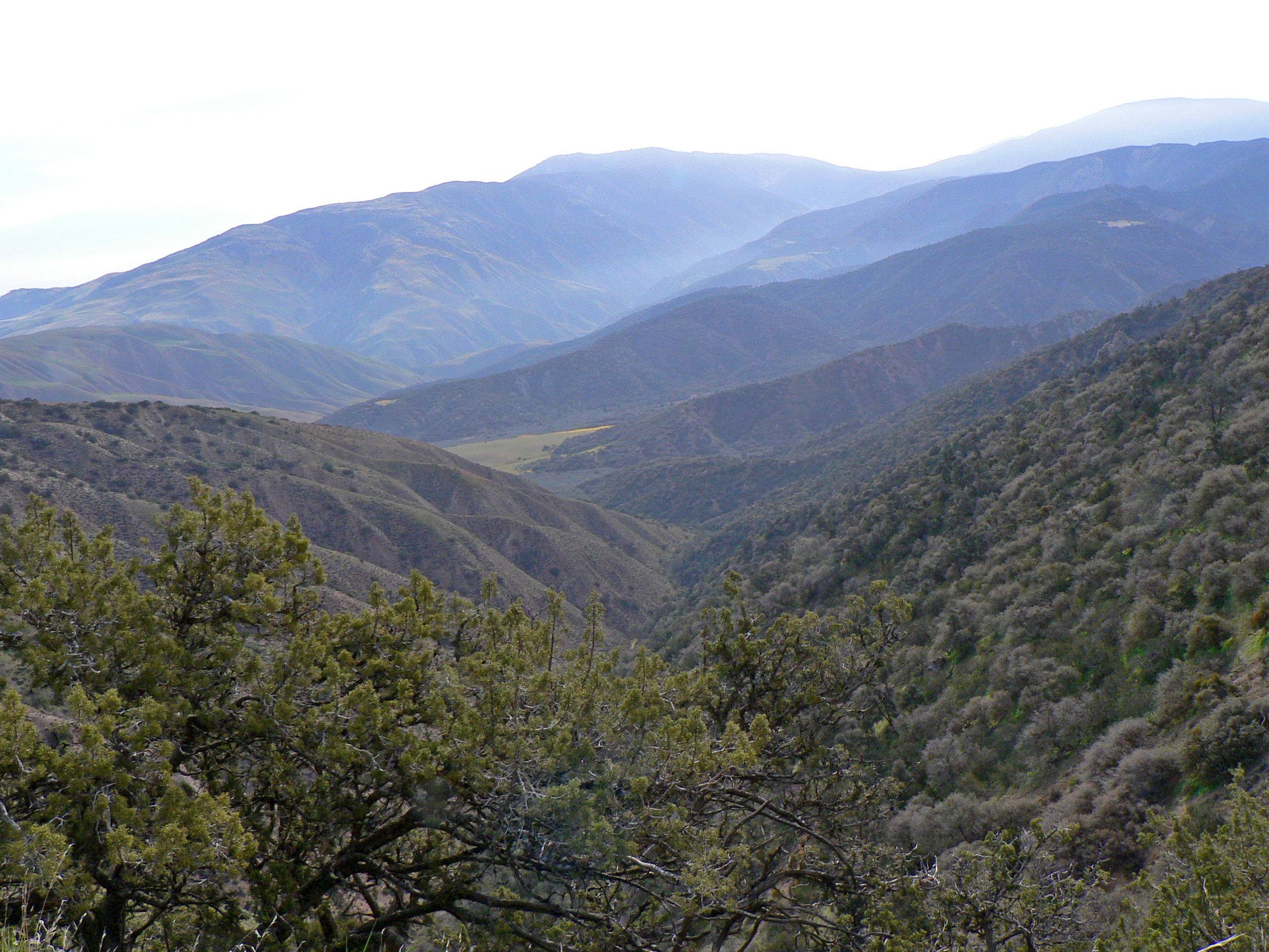 near Bitter Creek National Wildlife Refuge (California)