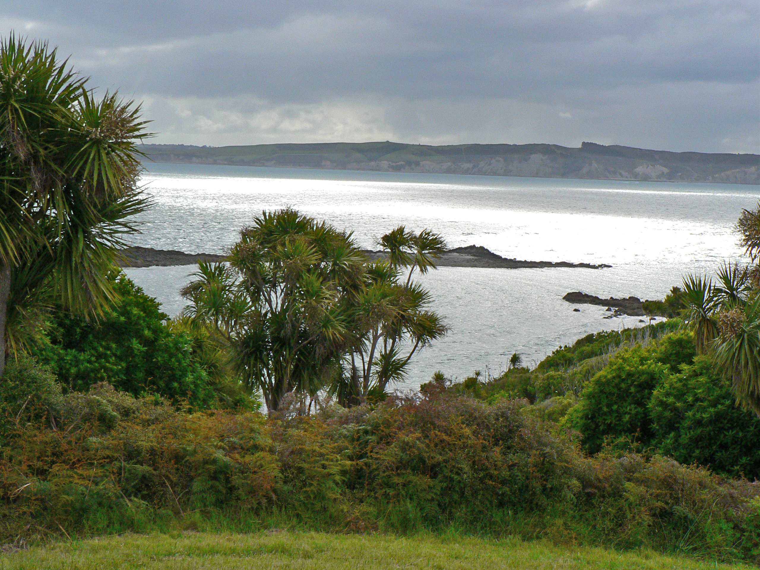 View of mainland (Northland).