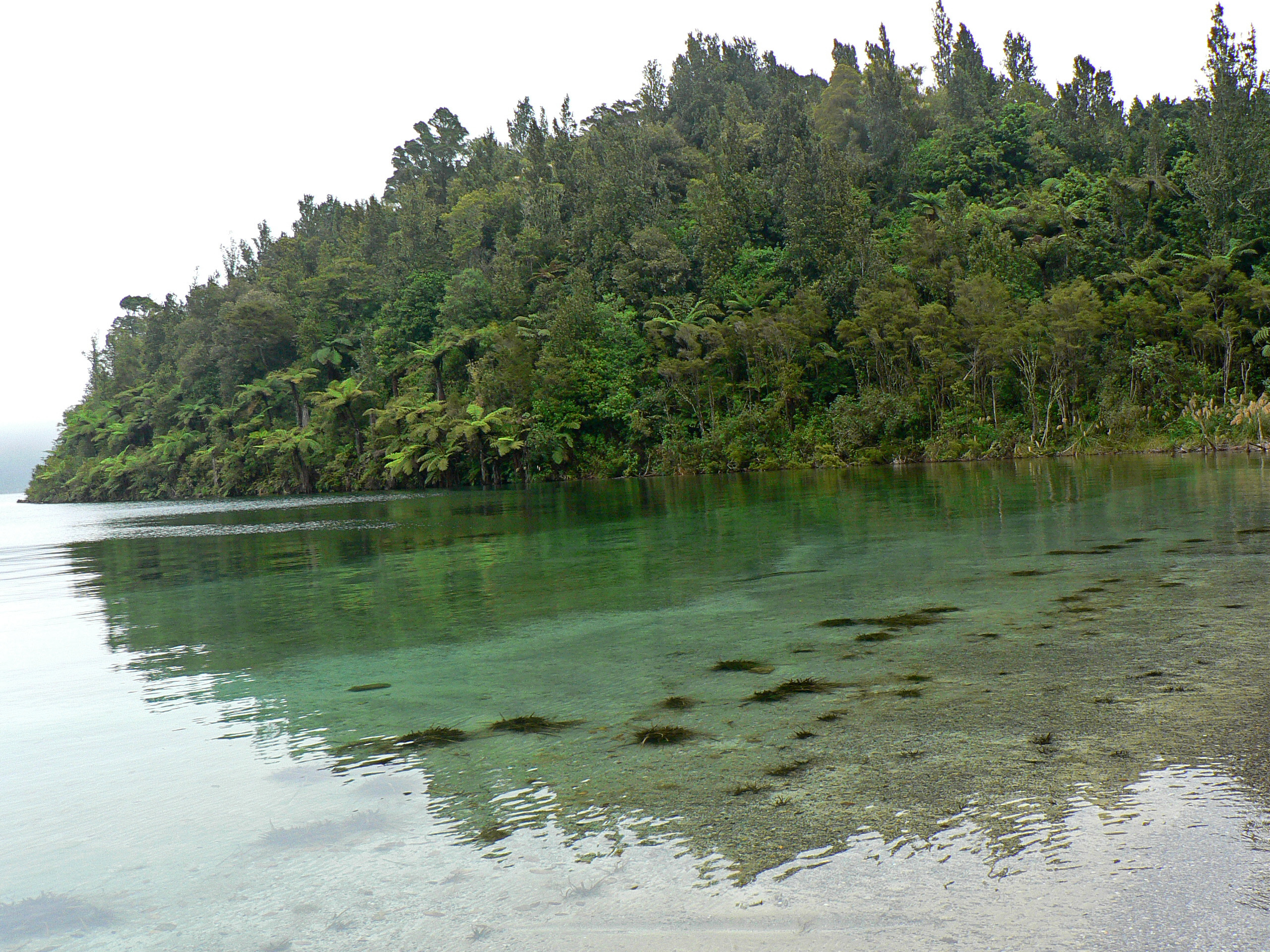 Lake Okataina.