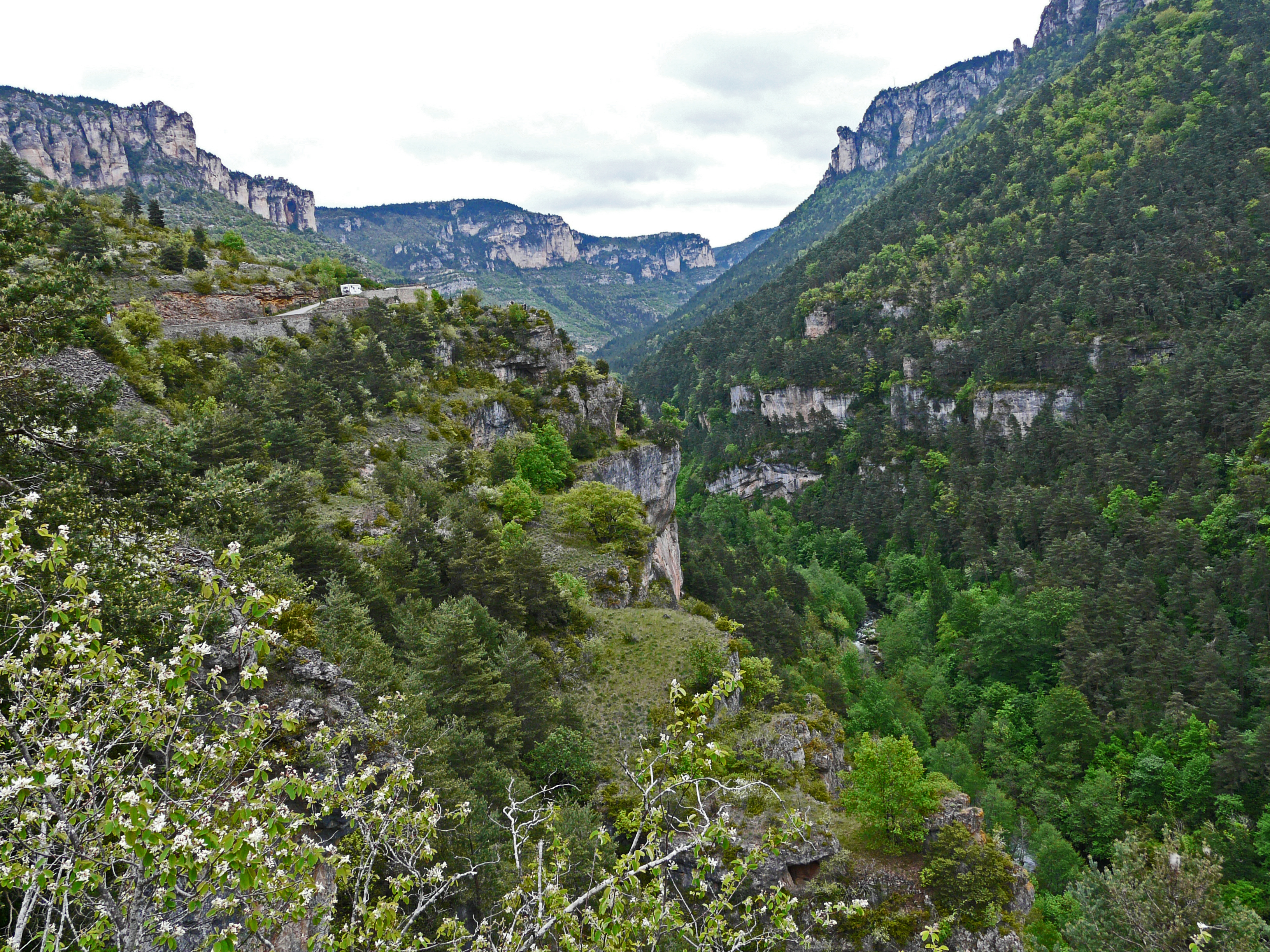 Gorges de la Jonte, France